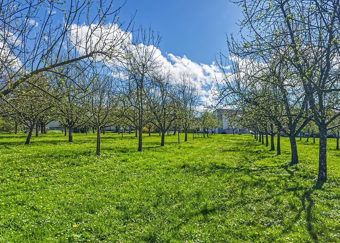 Ferien Am Lipbachpark